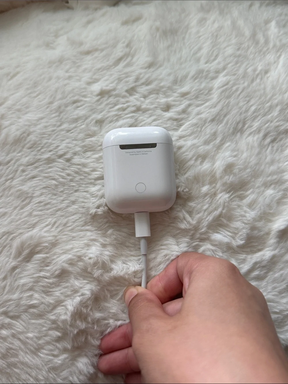 Apple compact true